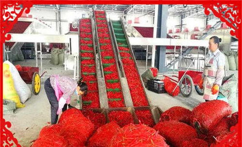 農村創業新機遇 干好這幾個農副產品加工項目，不愁沒錢賺