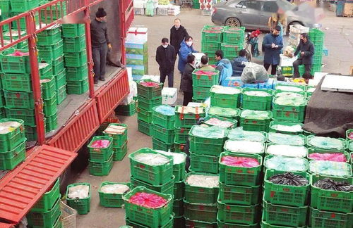 太原河西農副產品市場 菜籃子貨豐價穩，保障民生供給