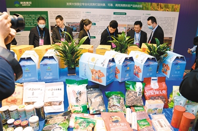 南車腰村首屆農副產品推介會 豐收盛宴與精彩晚會共慶鄉村新篇章