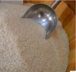 徐州農副產品加工產業布局與專業企業分布