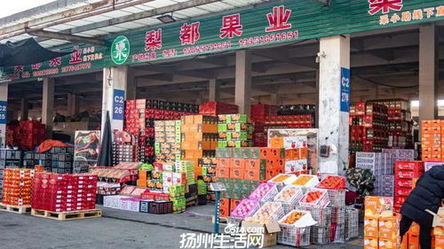 658畝大型商業地塊亮相，揚州這一區域展現農副產品流通新野心