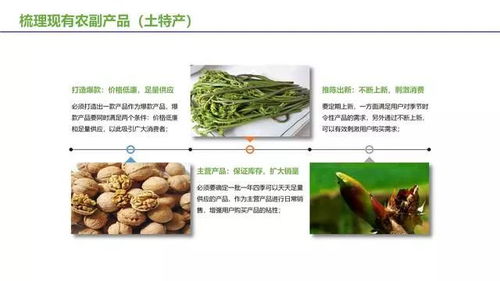 宜君園區經驗分享 農副產品及土特產電商運營的盈利之道