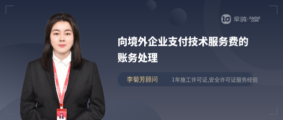 向境外企業(yè)支付技術(shù)服務(wù)費(fèi)的賬務(wù)處理實(shí)務(wù)詳解